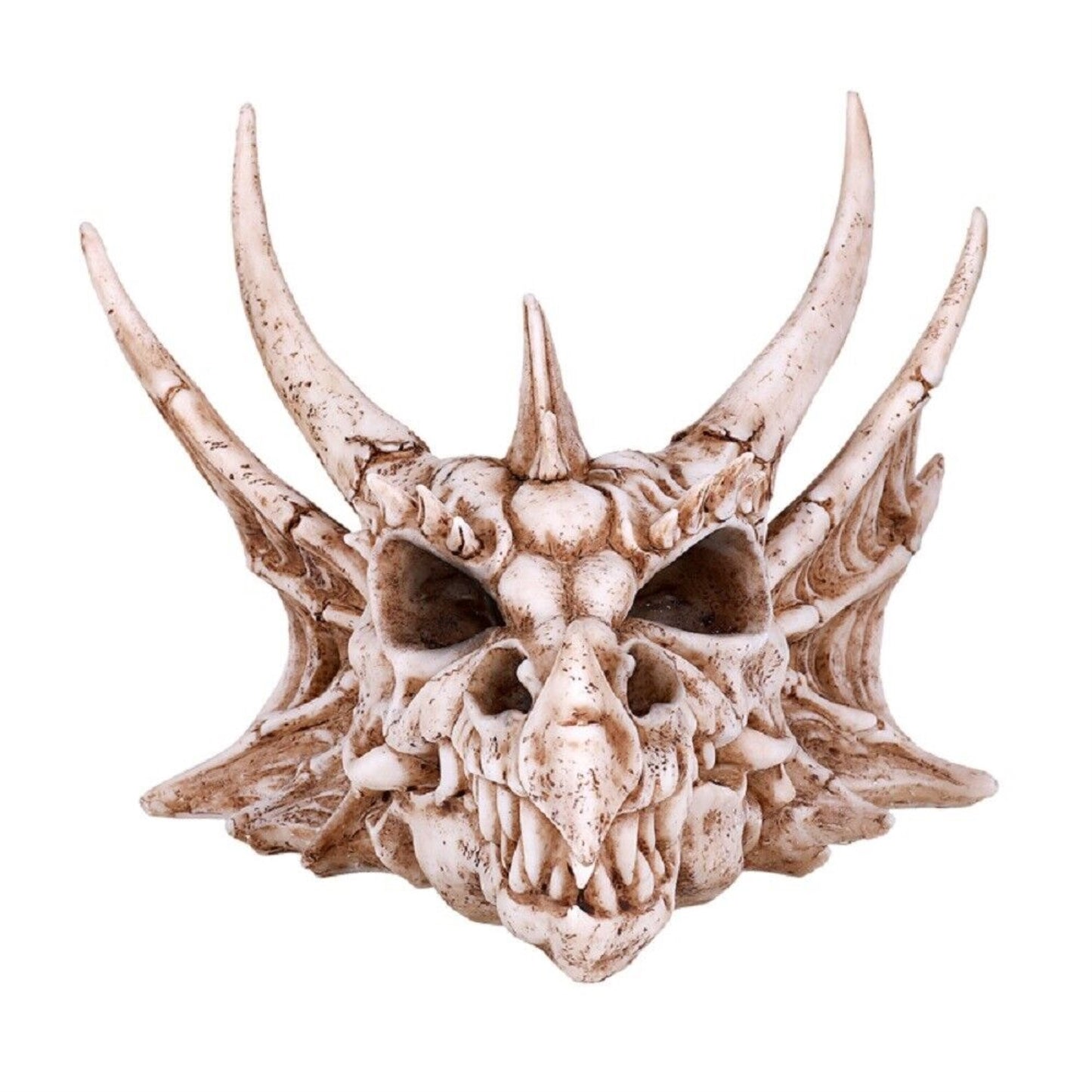 Dragon Skull Head Figurine 10 inch