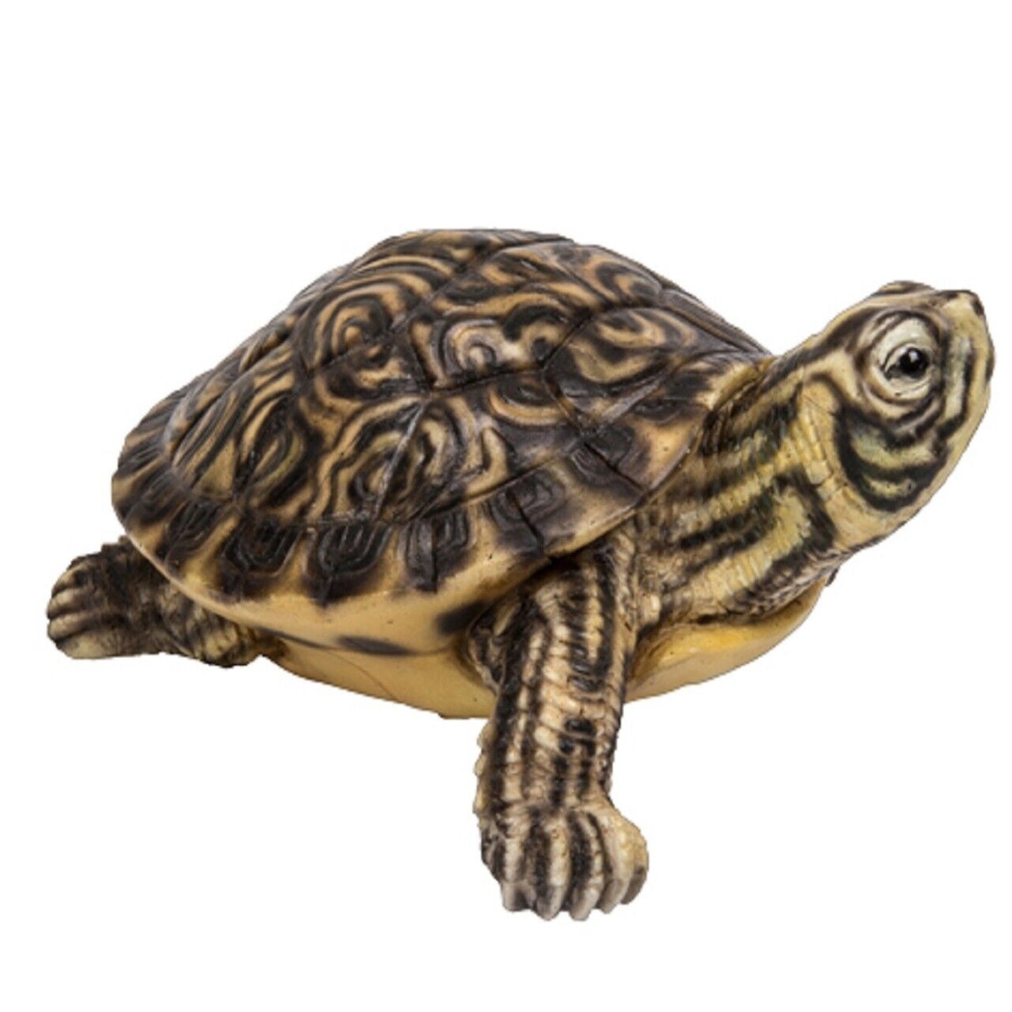 Realistic Yellow Belly Turtle Resin Figurine 4.75 inch