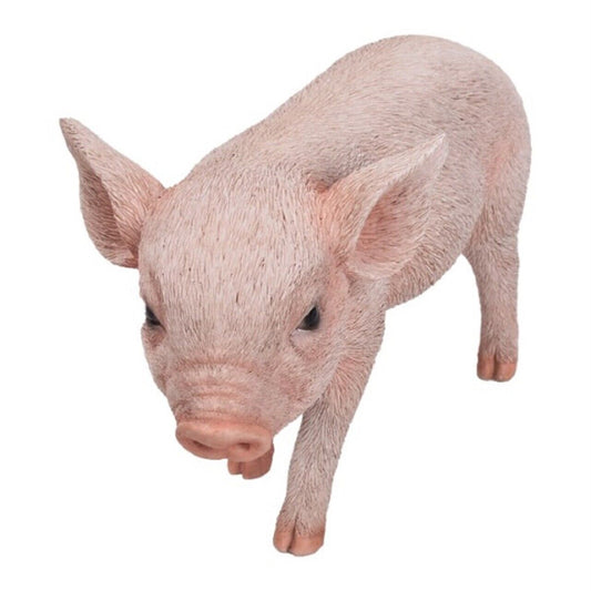 Realistic Look Statue Farm Baby Pig Piglet Home Decorative Resin Figurine 8 x 5 inch