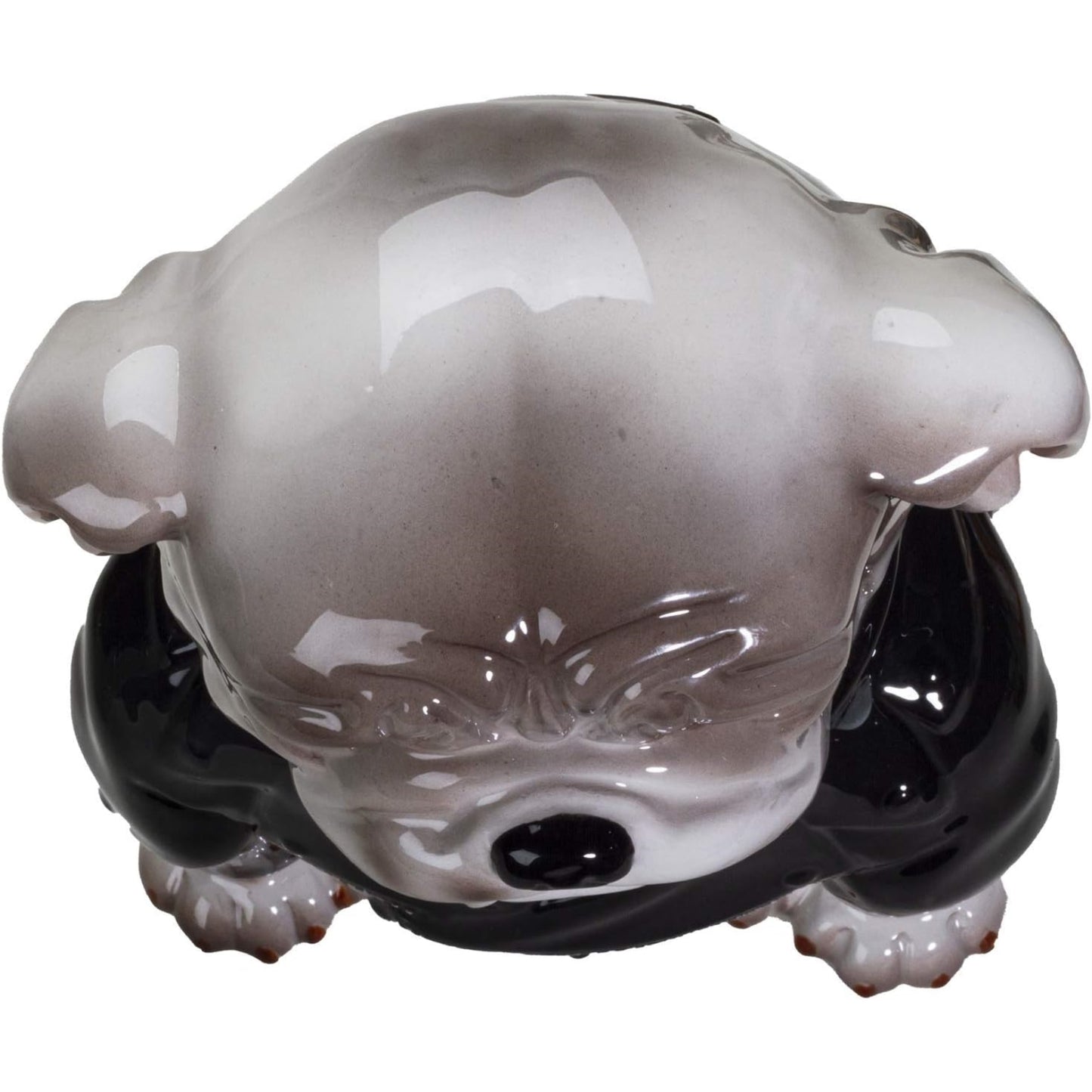 Punk Rocker Bulldog Styling in a Leather Jacket with Collar Ceramic Cookie Jar