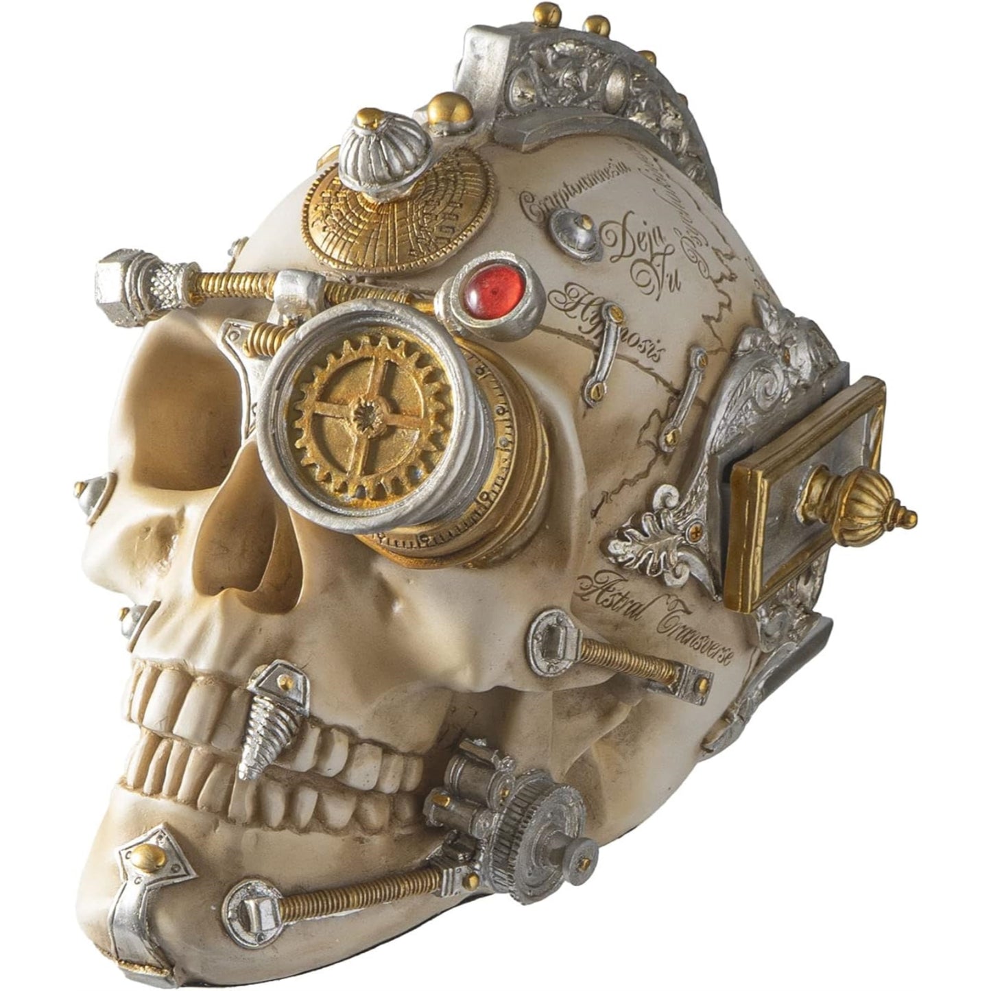 Erasmus Darwin's Steampunk Cerebrum Human Skull Figurine 8.9 x 6.1 inch