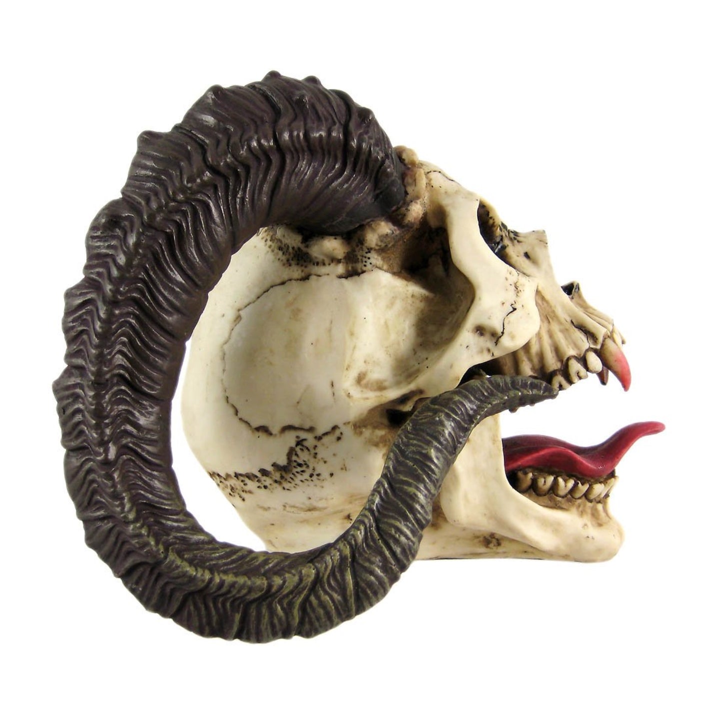 Evil Ram Horned Skull with Tongue Out Figurine Statue 10.5 inch
