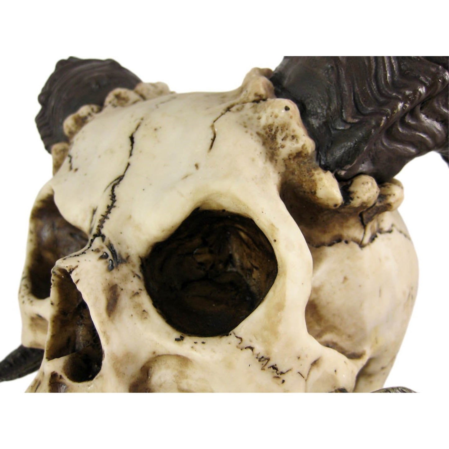 Evil Ram Horned Skull with Tongue Out Figurine Statue 10.5 inch