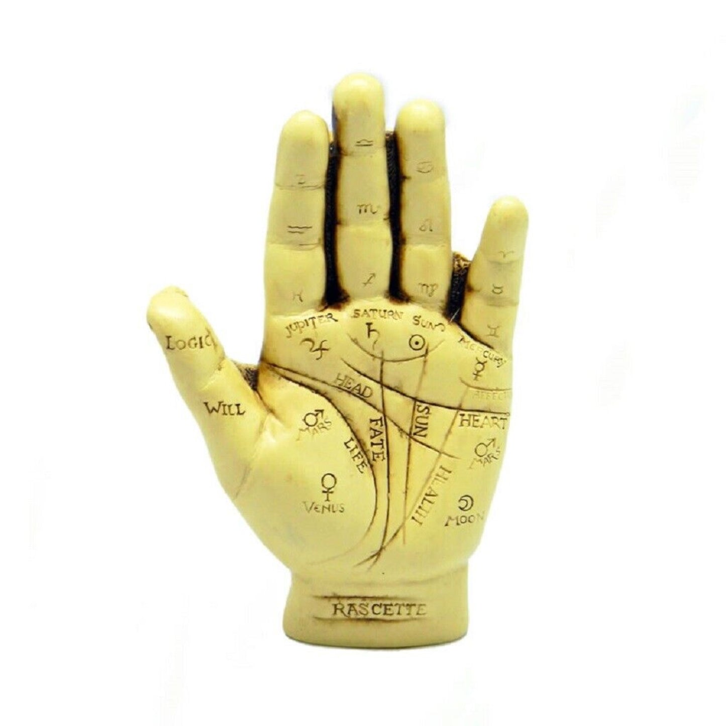Fantasy Gifts The Palmistry Hand Kit with Complete Instructional Booklet 5.25 inches tall