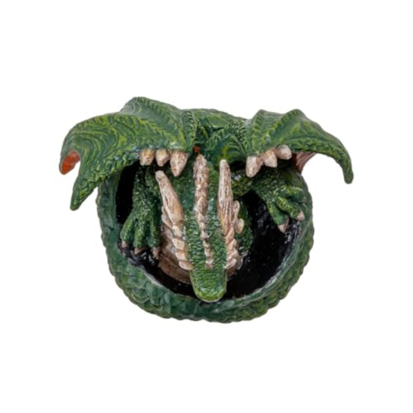 Green Dragon Hatchling Figurine Adorable Baby Dragon Emerging from Egg Fantasy Resin Sculpture 3.54 inch Tall