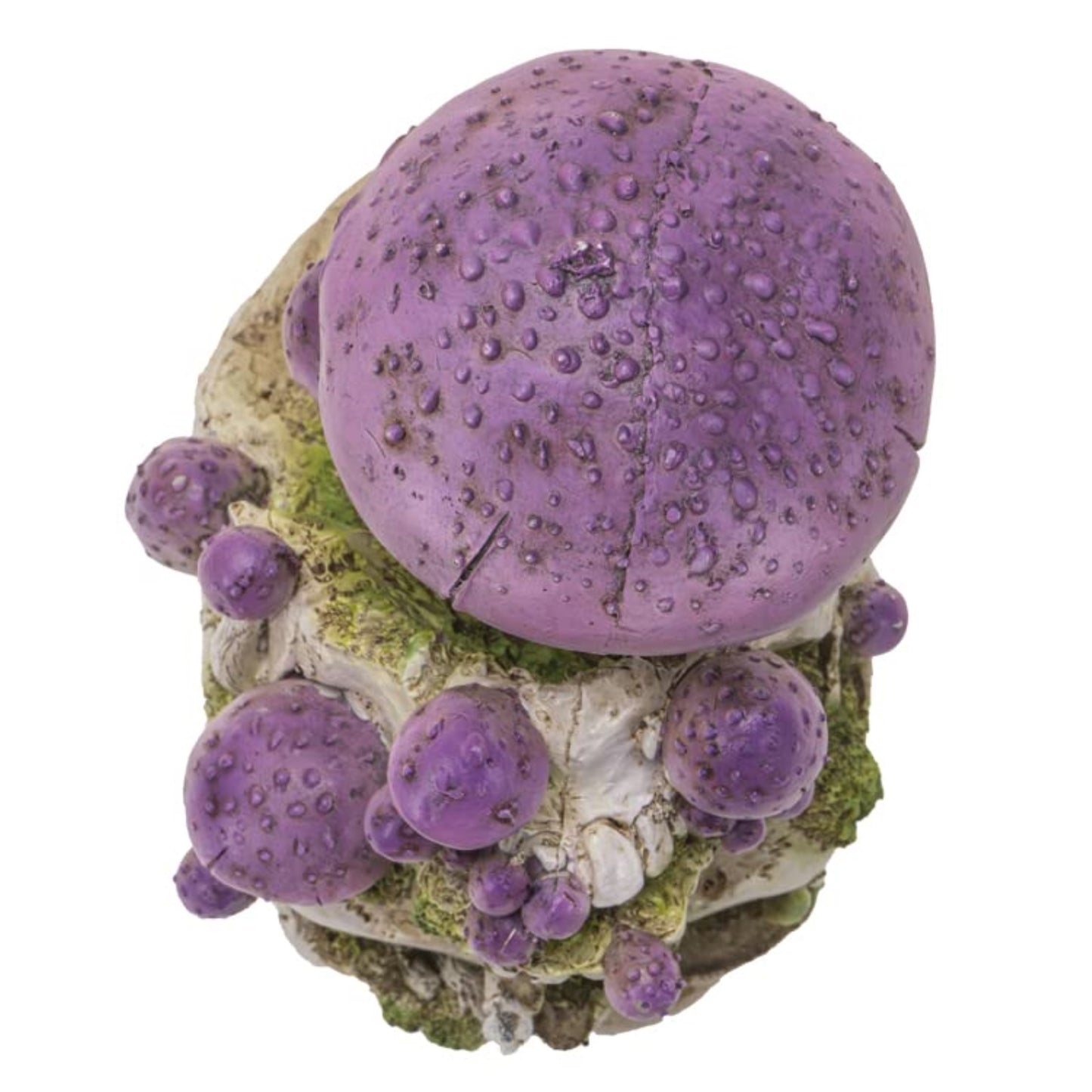 Skull with Purple Mushrooms Figurine 8.7 inch Tall Resin Halloween Home Decor