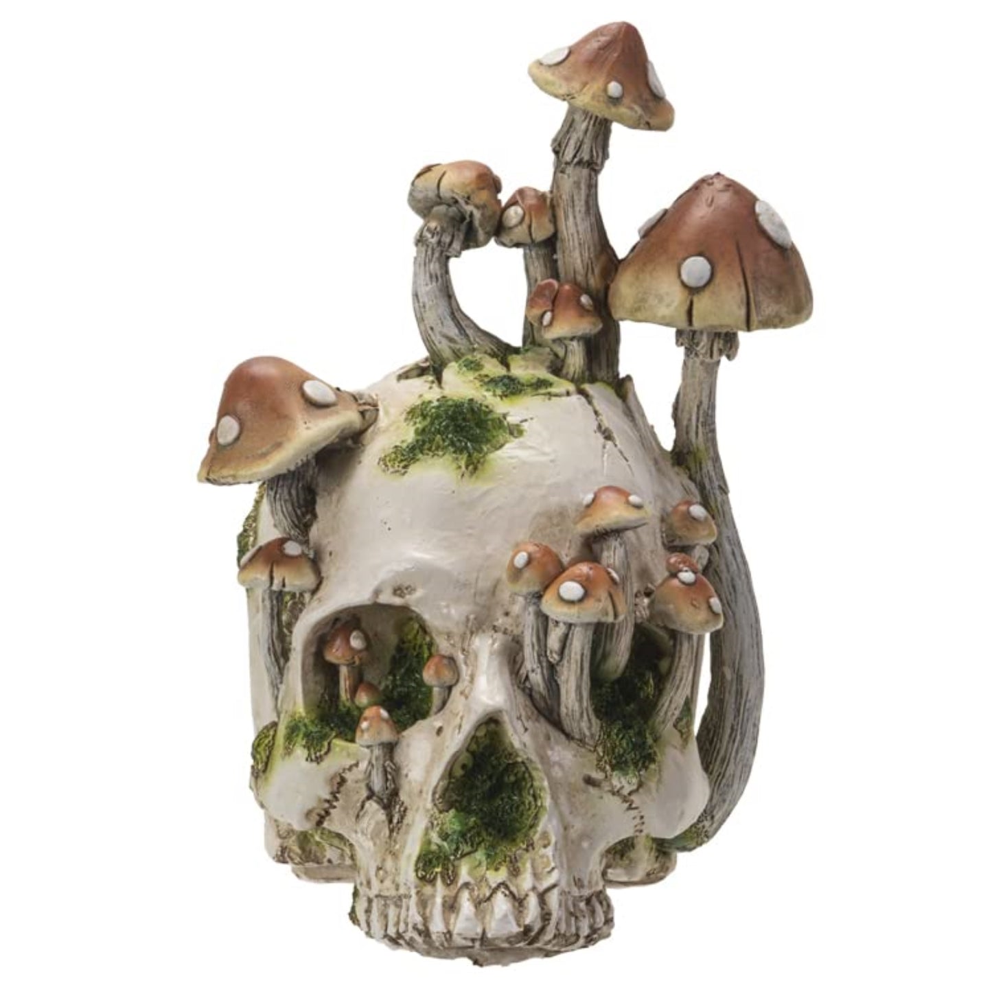 Human Skull with Mushrooms Growing Figurine 8.3 inch Tall Resin Halloween Home Decor