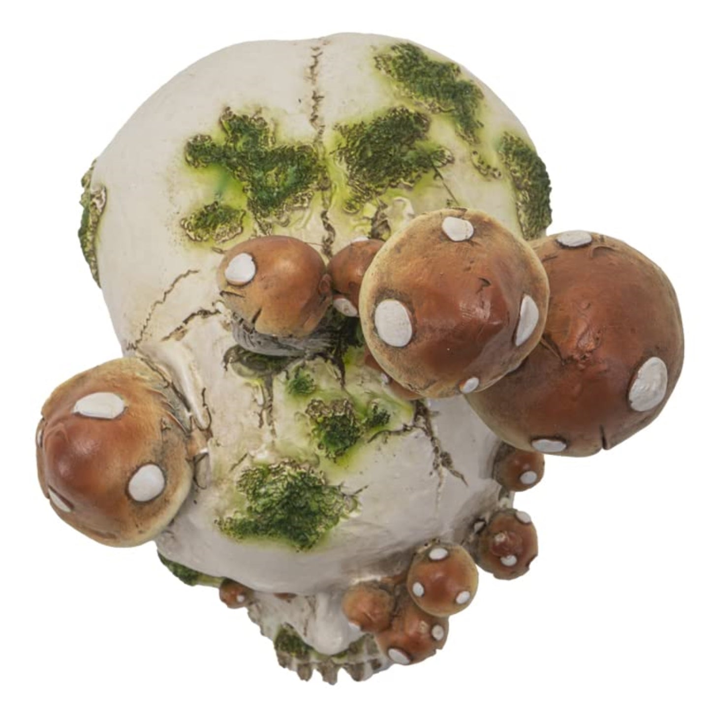 Human Skull with Mushrooms Growing Figurine 8.3 inch Tall Resin Halloween Home Decor