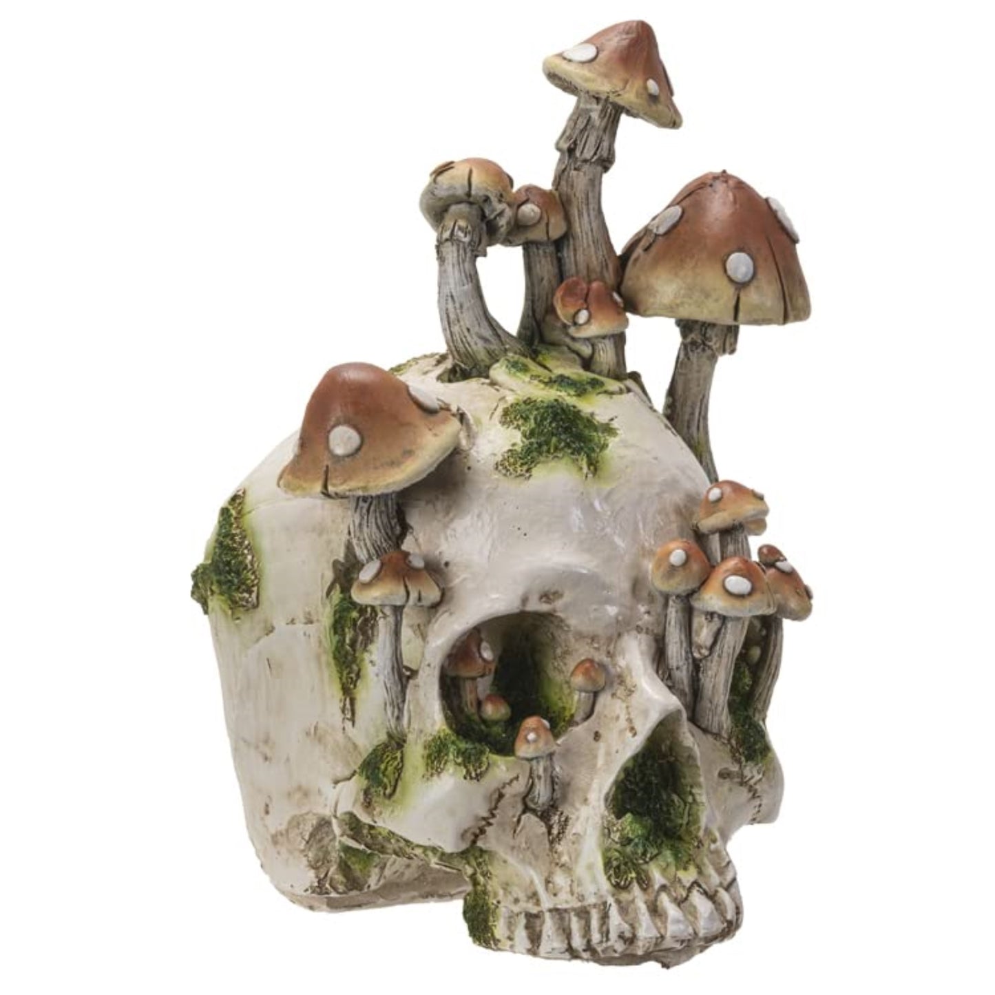 Human Skull with Mushrooms Growing Figurine 8.3 inch Tall Resin Halloween Home Decor