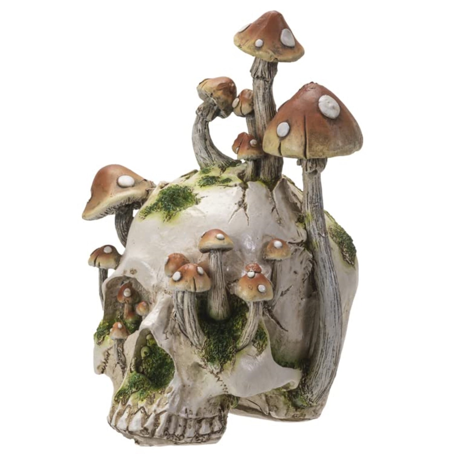 Human Skull with Mushrooms Growing Figurine 8.3 inch Tall Resin Halloween Home Decor