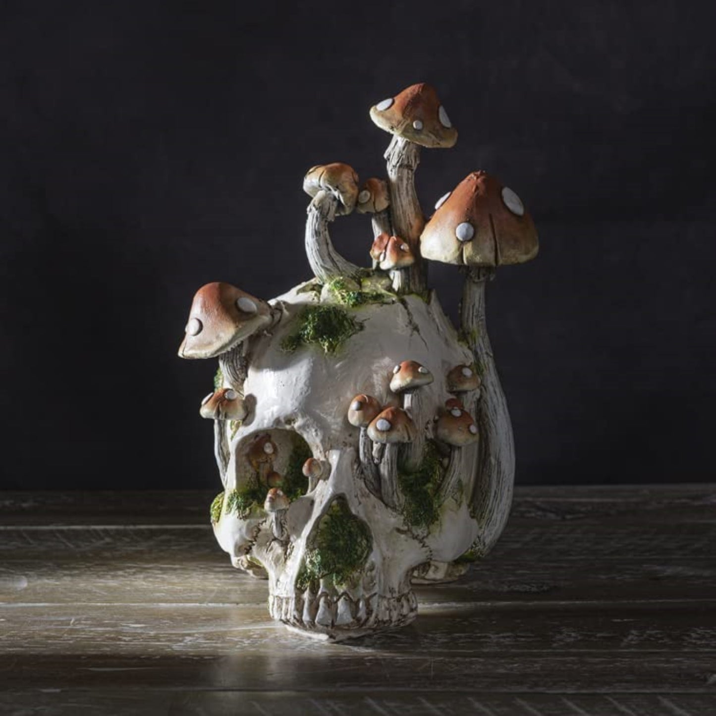 Human Skull with Mushrooms Growing Figurine 8.3 inch Tall Resin Halloween Home Decor