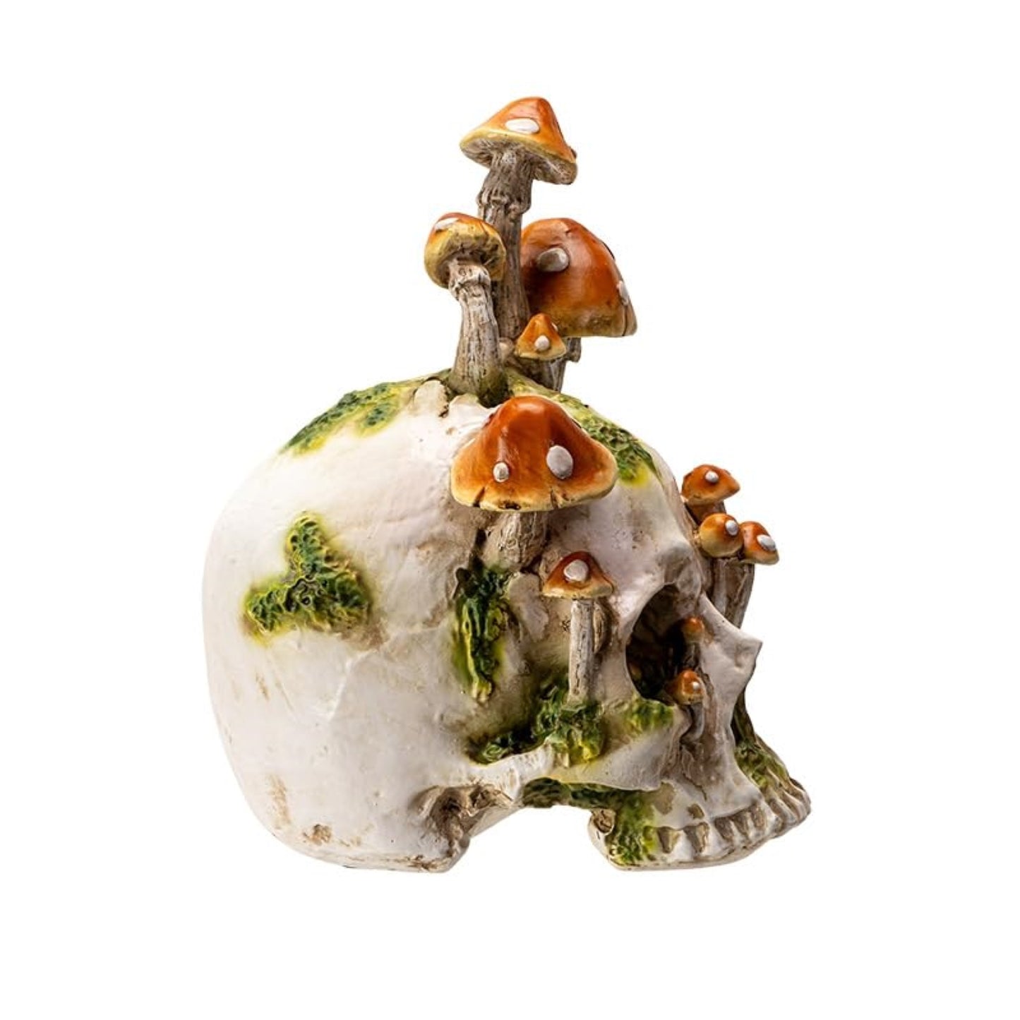 Large Human Skull with Mushrooms Growing Fungi Halloween Figurine Decoration 11.8 inch