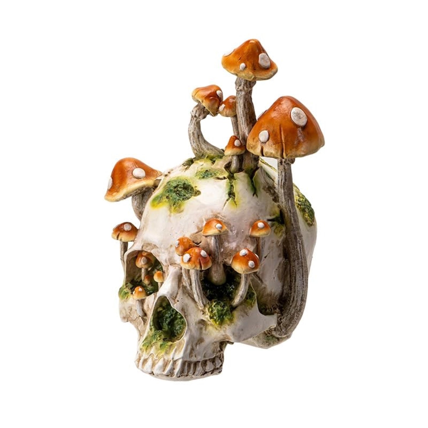 Large Human Skull with Mushrooms Growing Fungi Halloween Figurine Decoration 11.8 inch