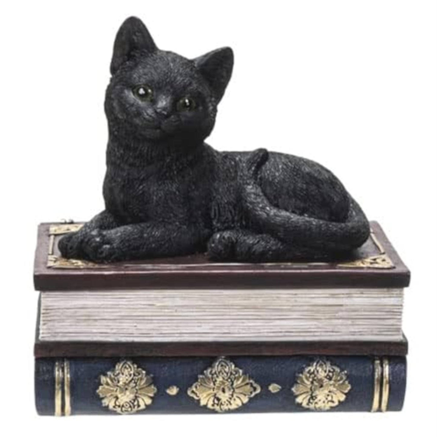 Black Cat On Book Jewelry Trinket Keepsake Box Figurine 4.6 inch