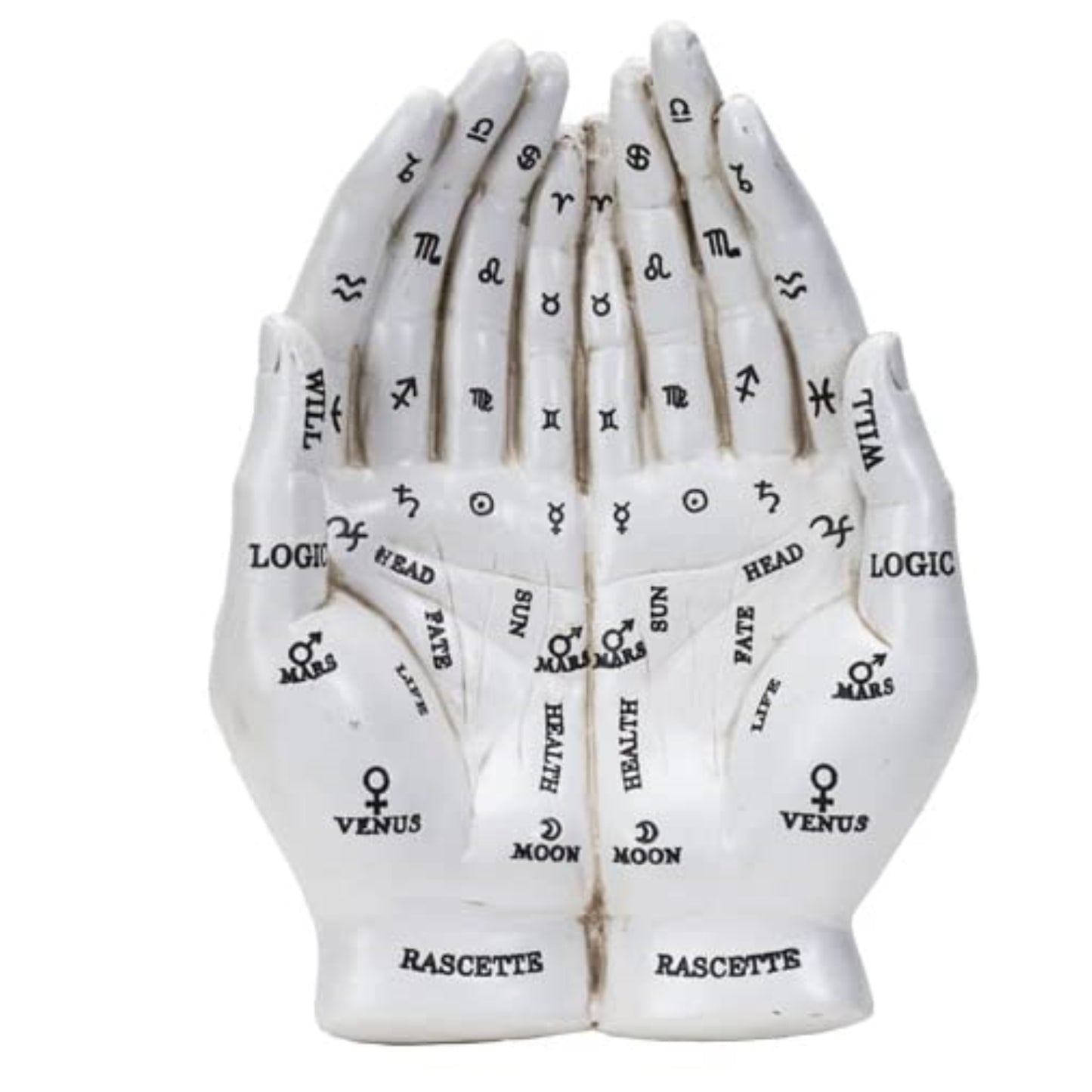 Symbolic Palmistry Cupped Hands White Standing Figurine 8.78 inches Tall