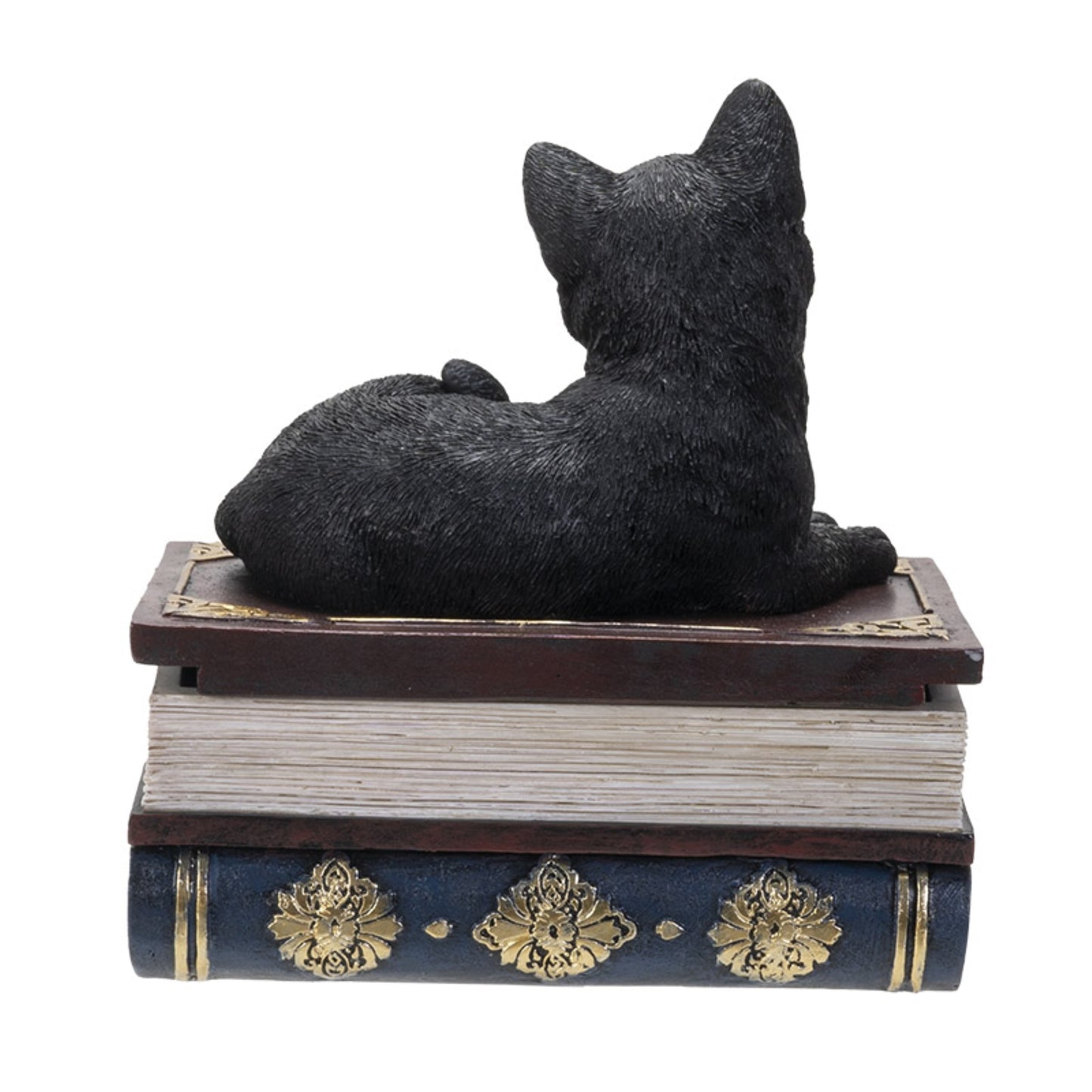 Black Cat On Book Jewelry Trinket Keepsake Box Figurine 4.6 inch