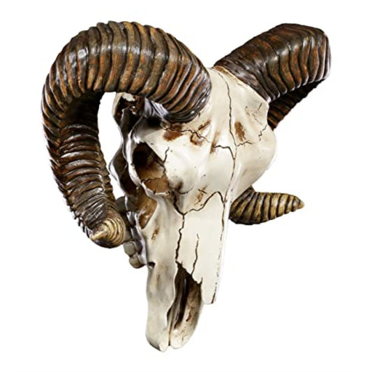 Ram Skull and Horns Baphomet Wall Trophy Decor 11 Inch