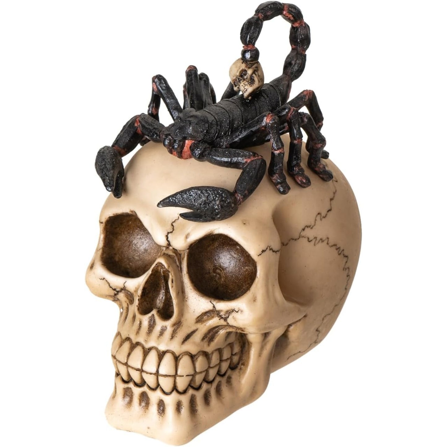 Scorpion on Human Skull Gothic Tabletop Figurine Halloween Decorations or Unique Gothic Decor 6.6 inch