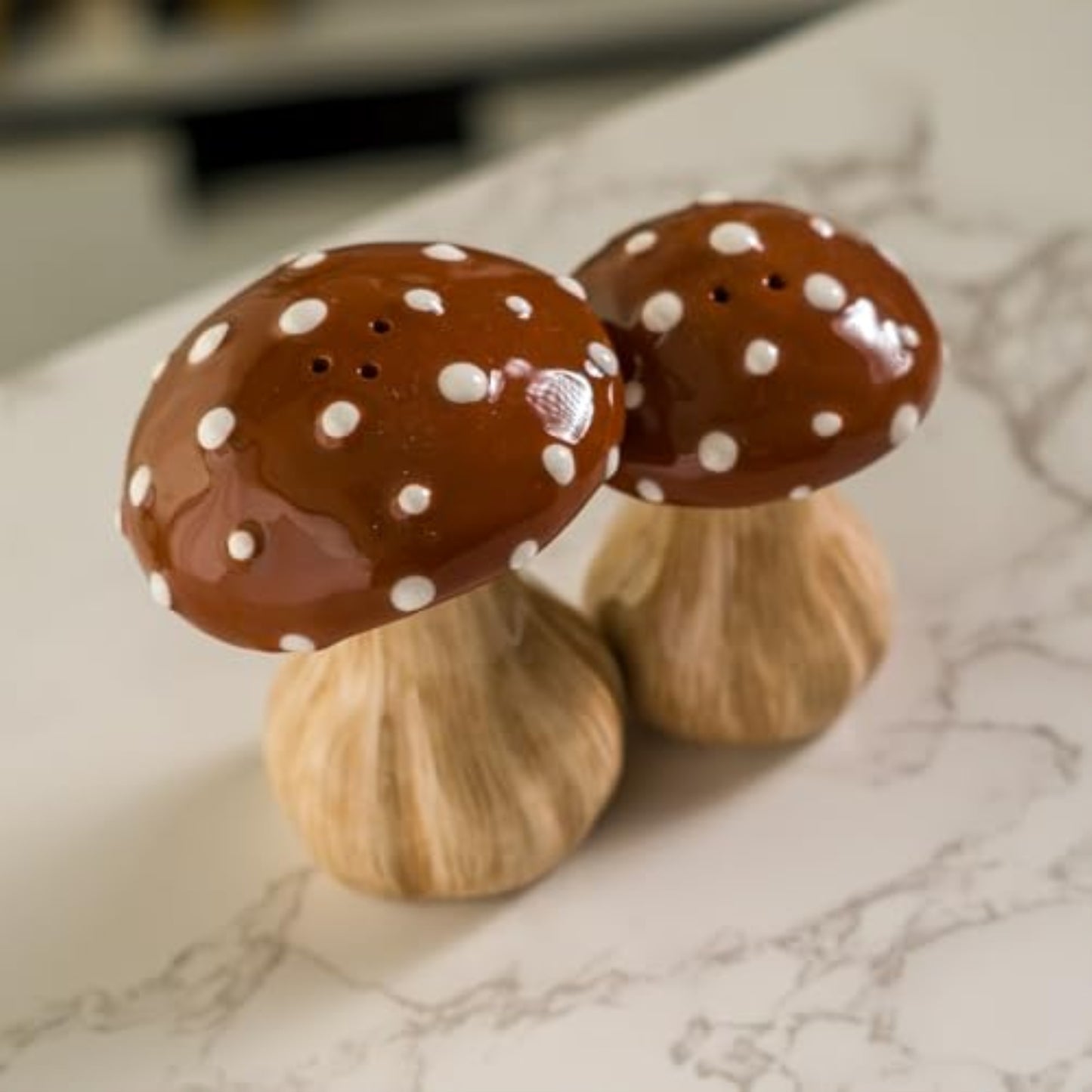 Autumn Harvest Mushroom Ceramic Magnetic Salt and Pepper Shaker Set