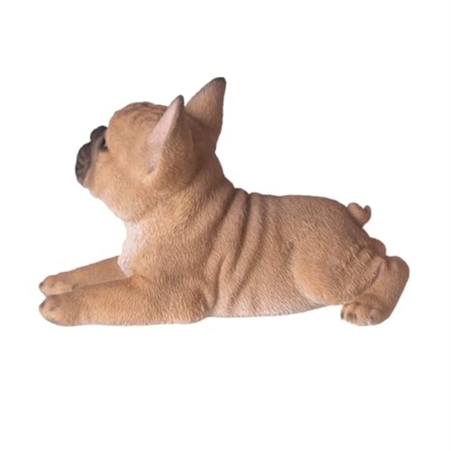 Playful French Bulldog Figurine Realistic Tan Frenchie Dog Statue 8 inches Long