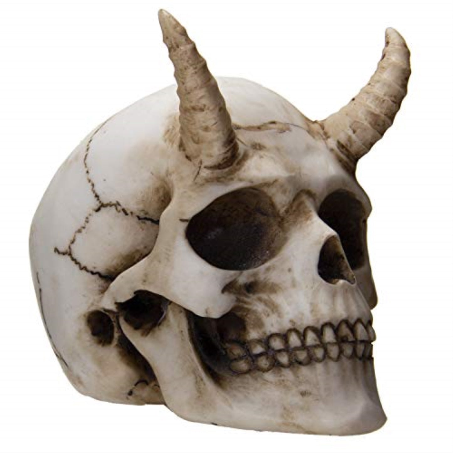 Devil Horned Skull Demon Skull Resin Miniature Figurine 3.75 Inch
