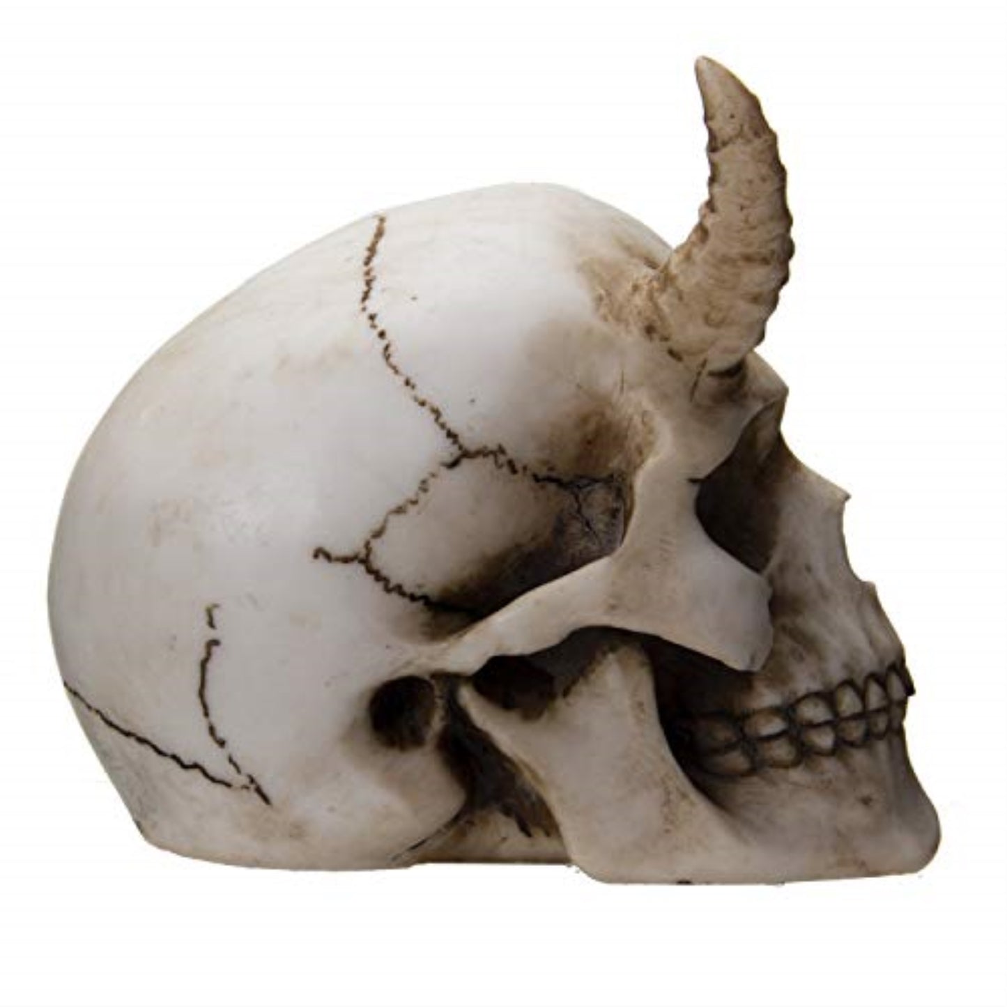 Devil Horned Skull Demon Skull Resin Miniature Figurine 3.75 Inch