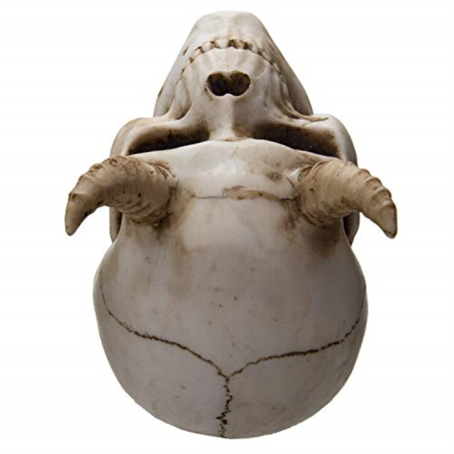 Devil Horned Skull Demon Skull Resin Miniature Figurine 3.75 Inch