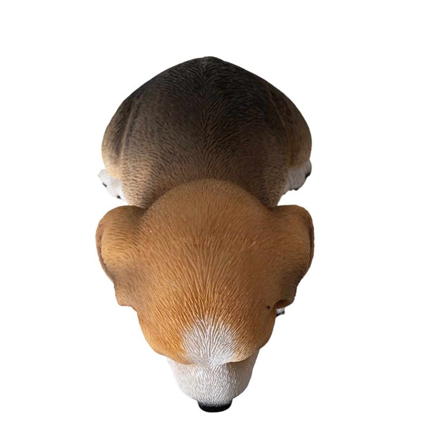 Adorable Sitting Beagle Figurine Realistic Lifelike Statue Decorative Puppy Dog Polyresin 5.75 inch