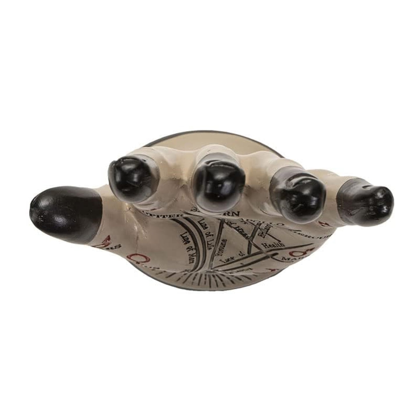 Palmistry Hand with Eye Figurine 8.9 inch Height Resin Halloween Home Decor