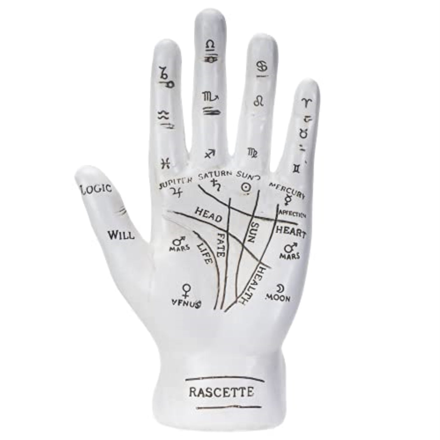 White Fortune Teller Palm Psychic Palmistry Hand Divination Diagram Mystical Polyresin Figurine 7.25 inch
