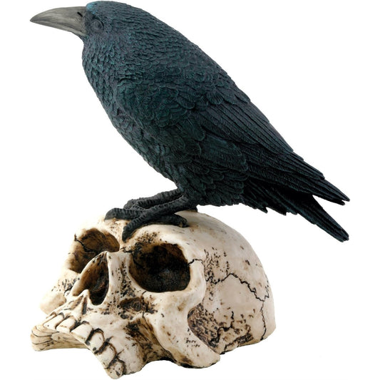 Gothic Raven Perching On Skull Statue Figurine 7.25 inch