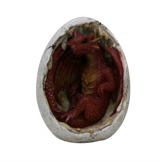 Red Dragon Hatchling in Egg Casing Statue Figurine 4.75 inch