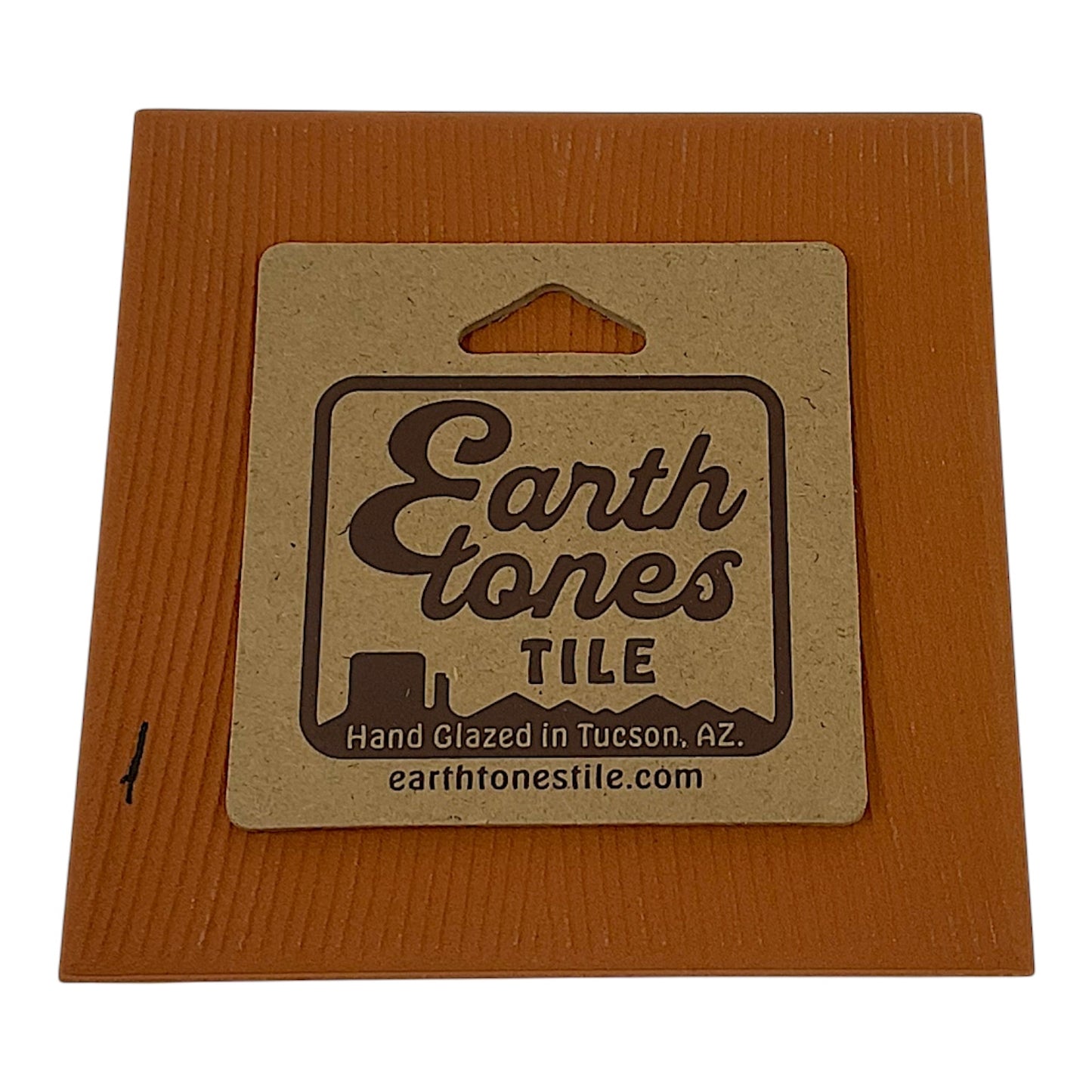 Earthtones Hummingbird at the Grand Canyon 6X6 Hand Glazed Southwest Decorative Tile or Kitchen Trivet