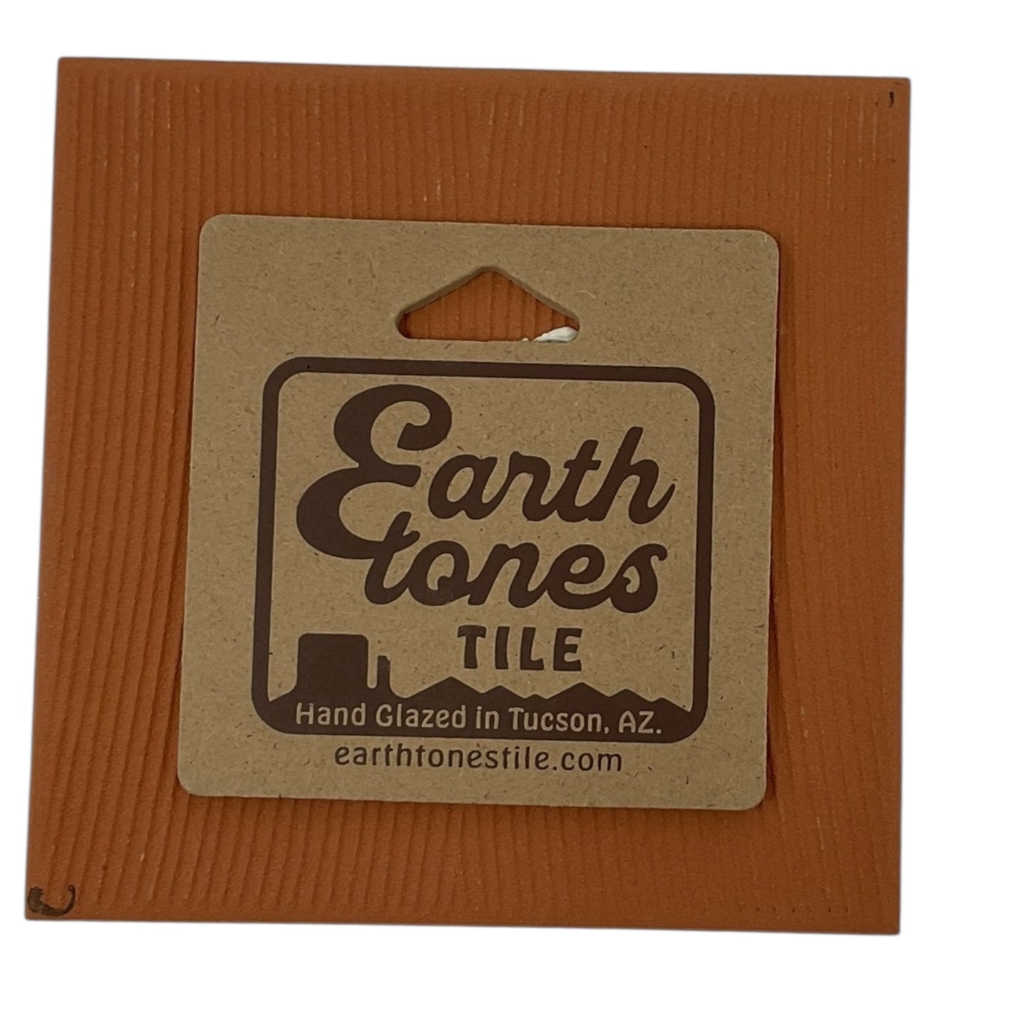 Earthtones Southwest Hummingbird with Flower 6X6 Colorful Hand Glazed Decorative Tile