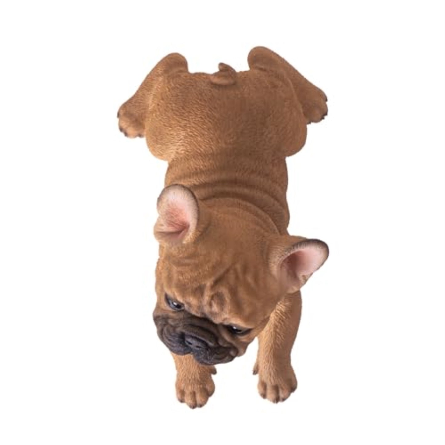 Playful French Bulldog Figurine Realistic Tan Frenchie Dog Statue 8 inches Long