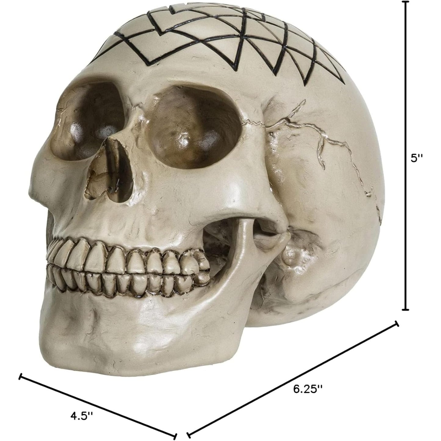 Sacred Geometry Yantra Human Skull Figurine 6.25 inch