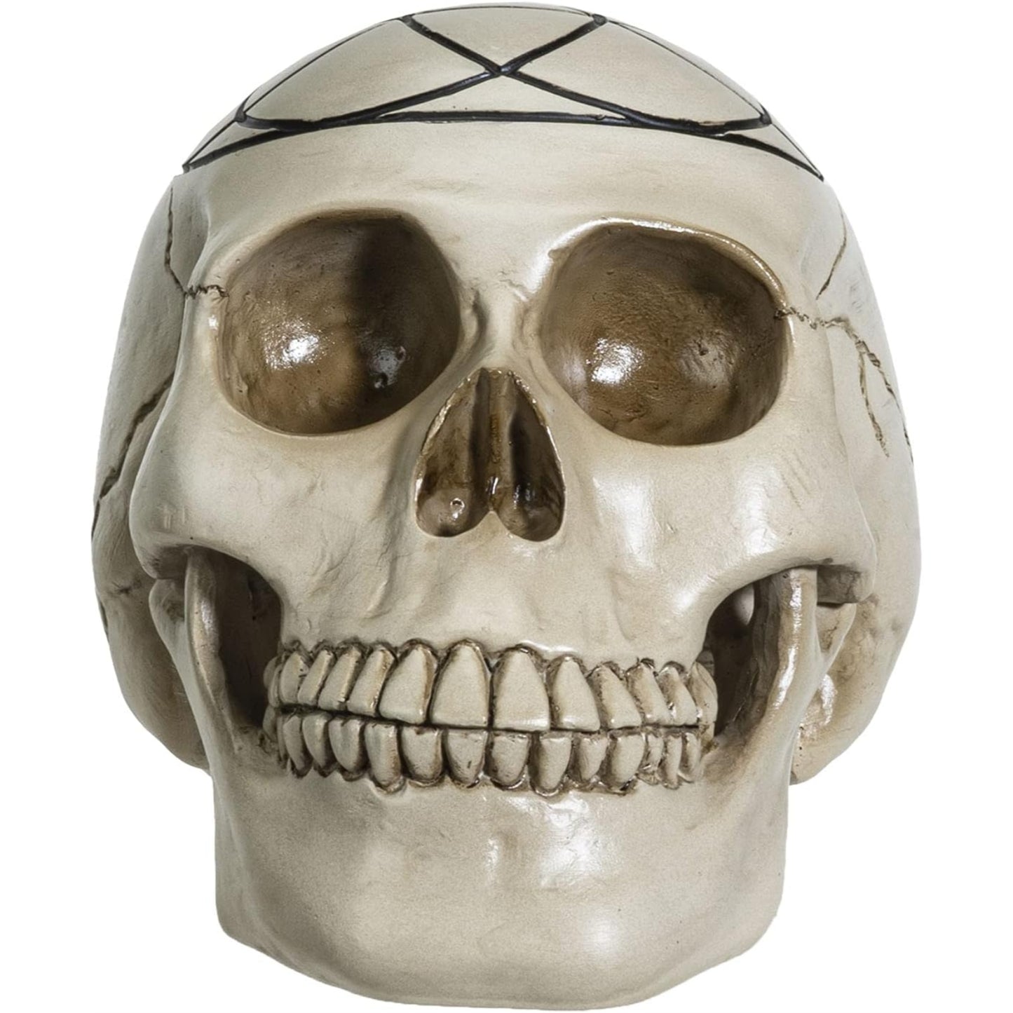 Sacred Geometry Seed of Life Human Skull Figurine 6.25 inch