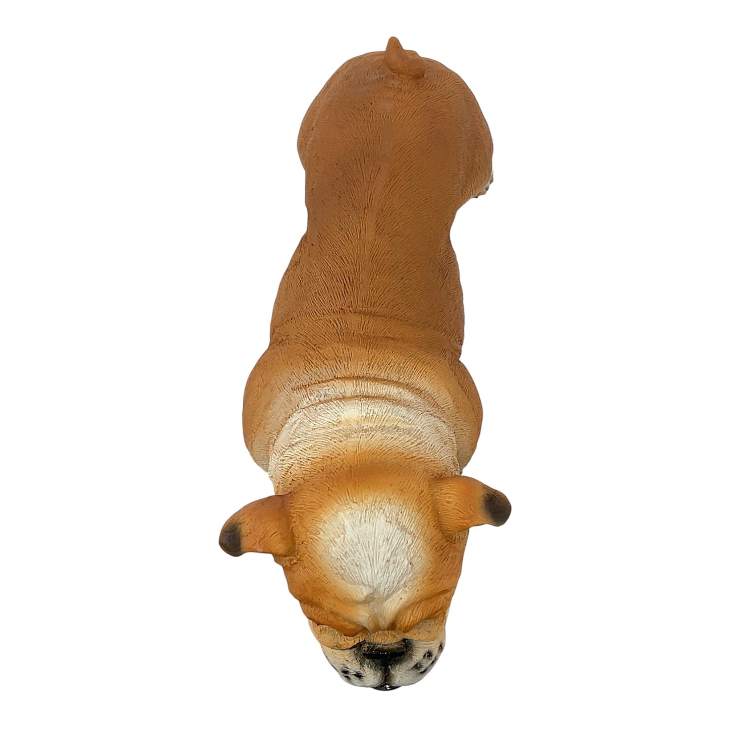 Fawn and White Standing Bulldog Dog Pet Resin Figurine 8 inches Long