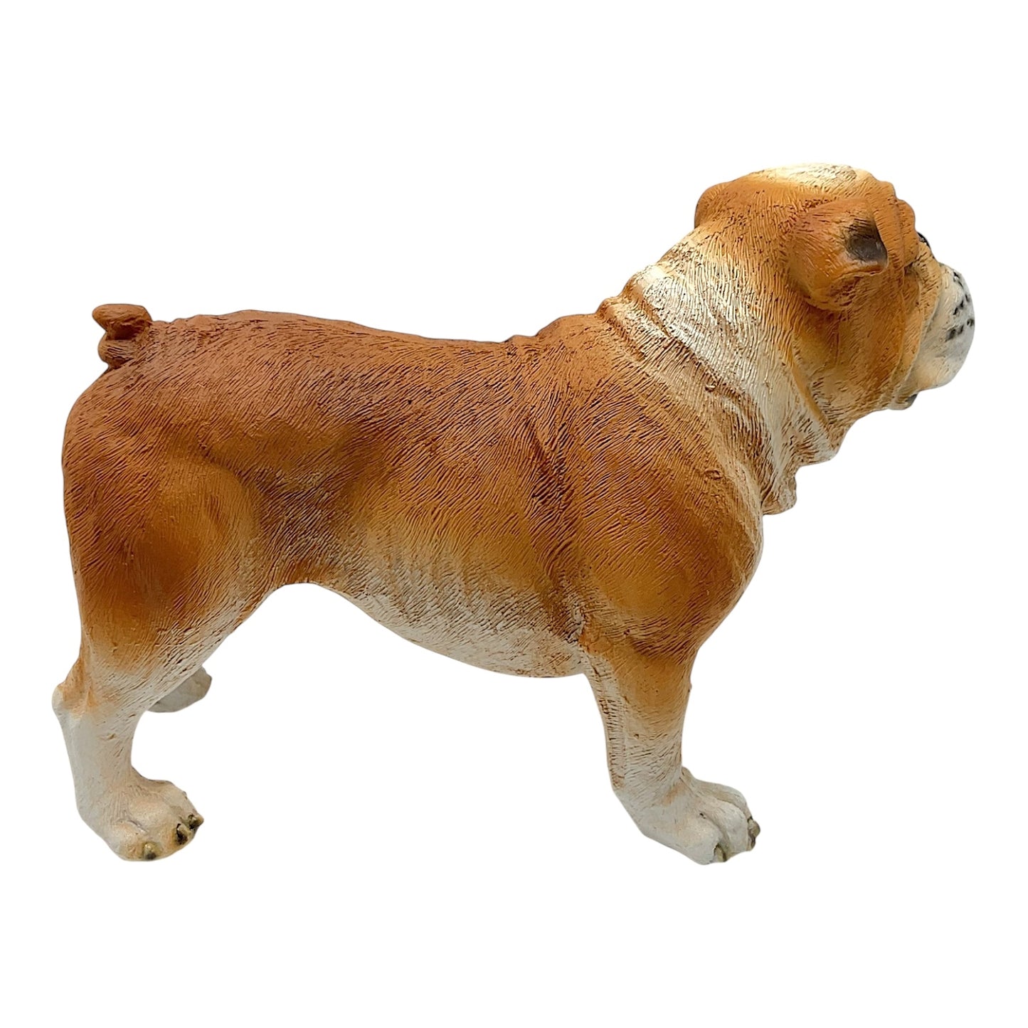 Fawn and White Standing Bulldog Dog Pet Resin Figurine 8 inches Long