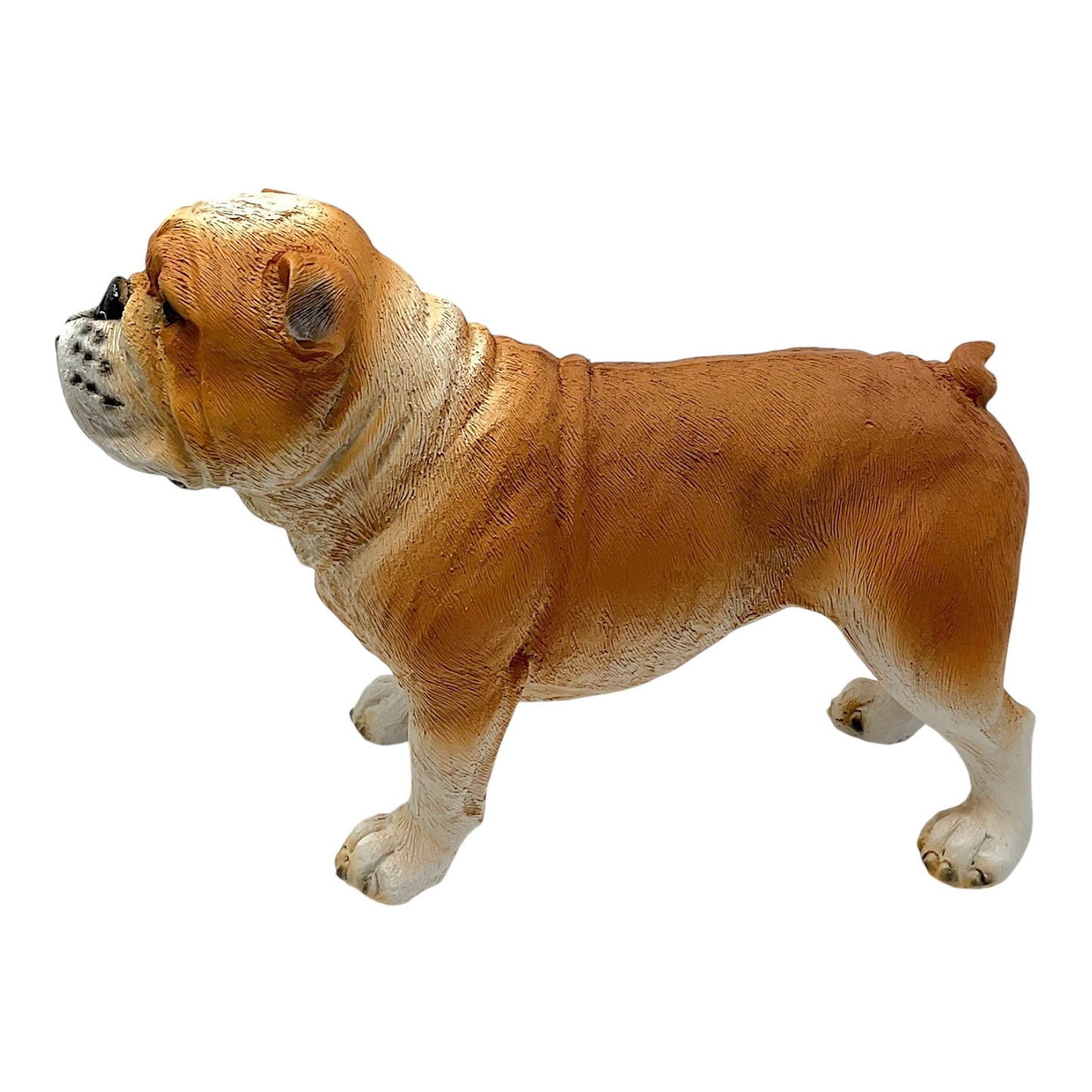 Fawn and White Standing Bulldog Dog Pet Resin Figurine 8 inches Long