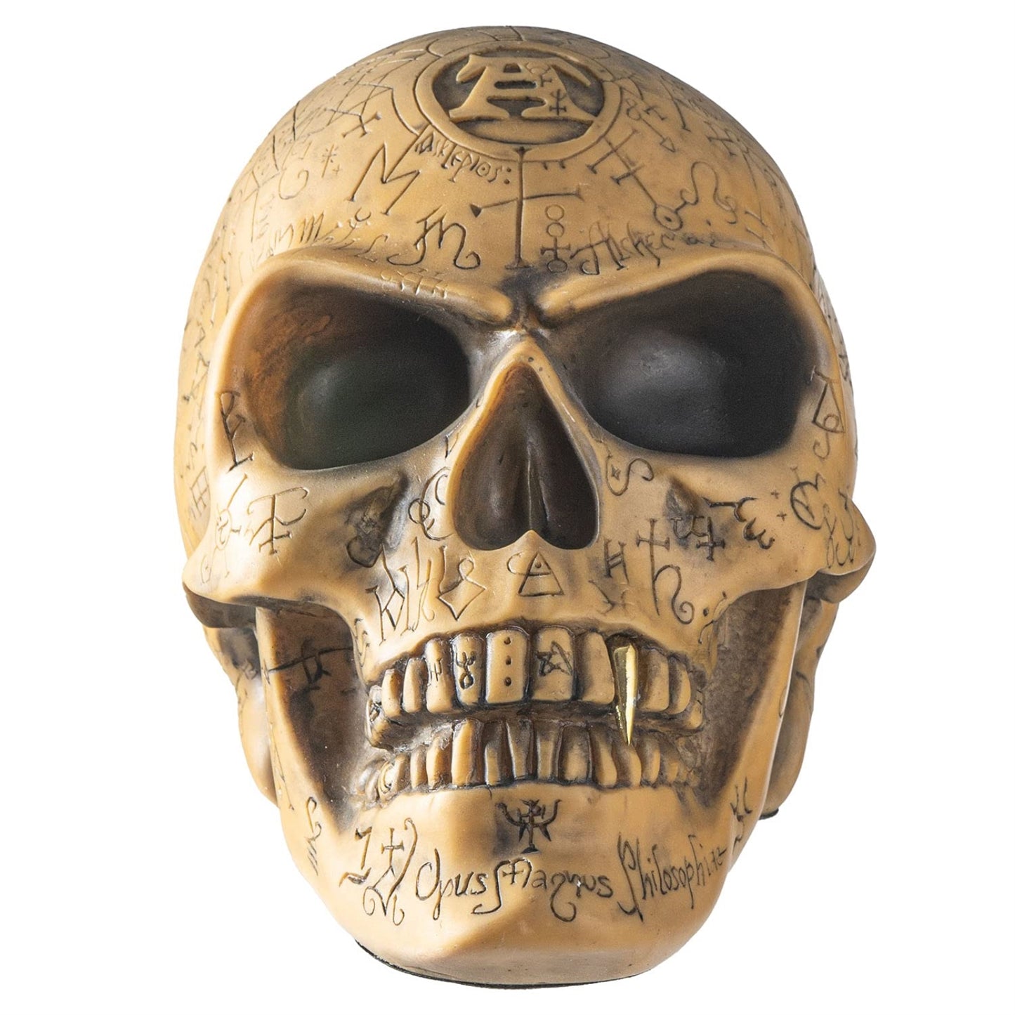 Alchemist's Omega Human Skull Figurine Sculpture Home Decor 6 x 7 inch