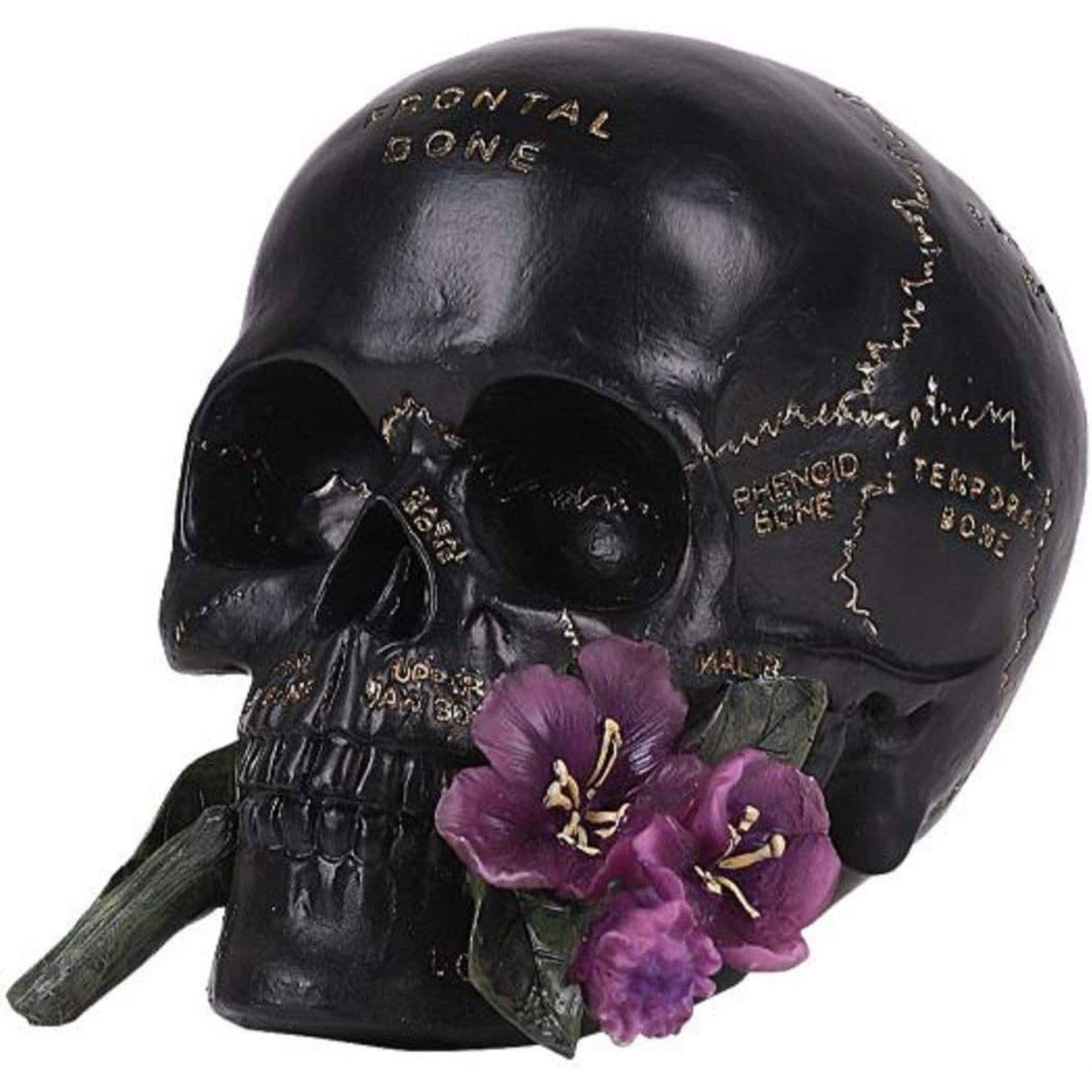 Black Skull with Purple Flower Resin Figurine Home Decor 6.75 x 5.25 inch