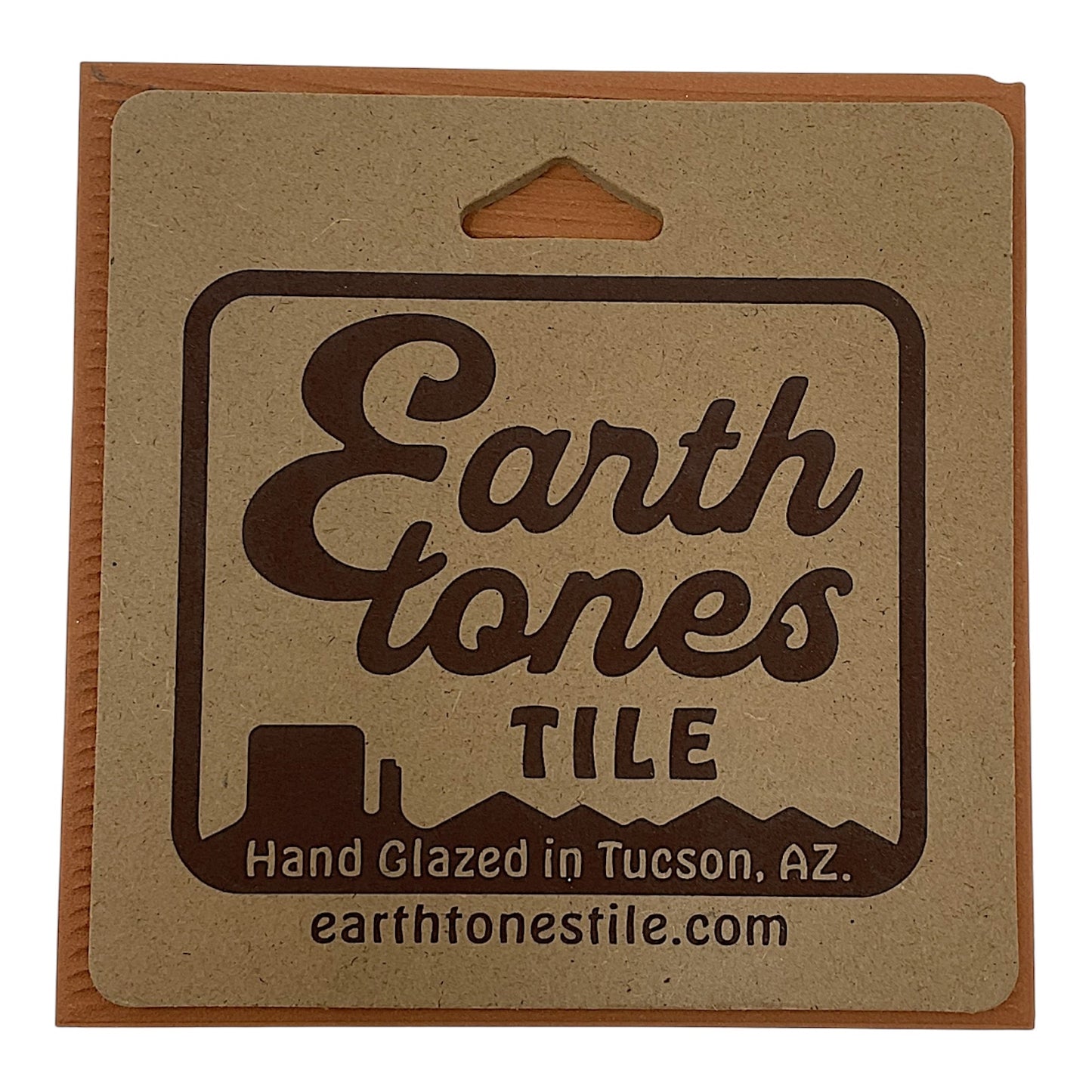 Earthtones Desert Wren with Cactus Blooms 6X6 Colorful Hand Glazed Southwest Decorative Tile