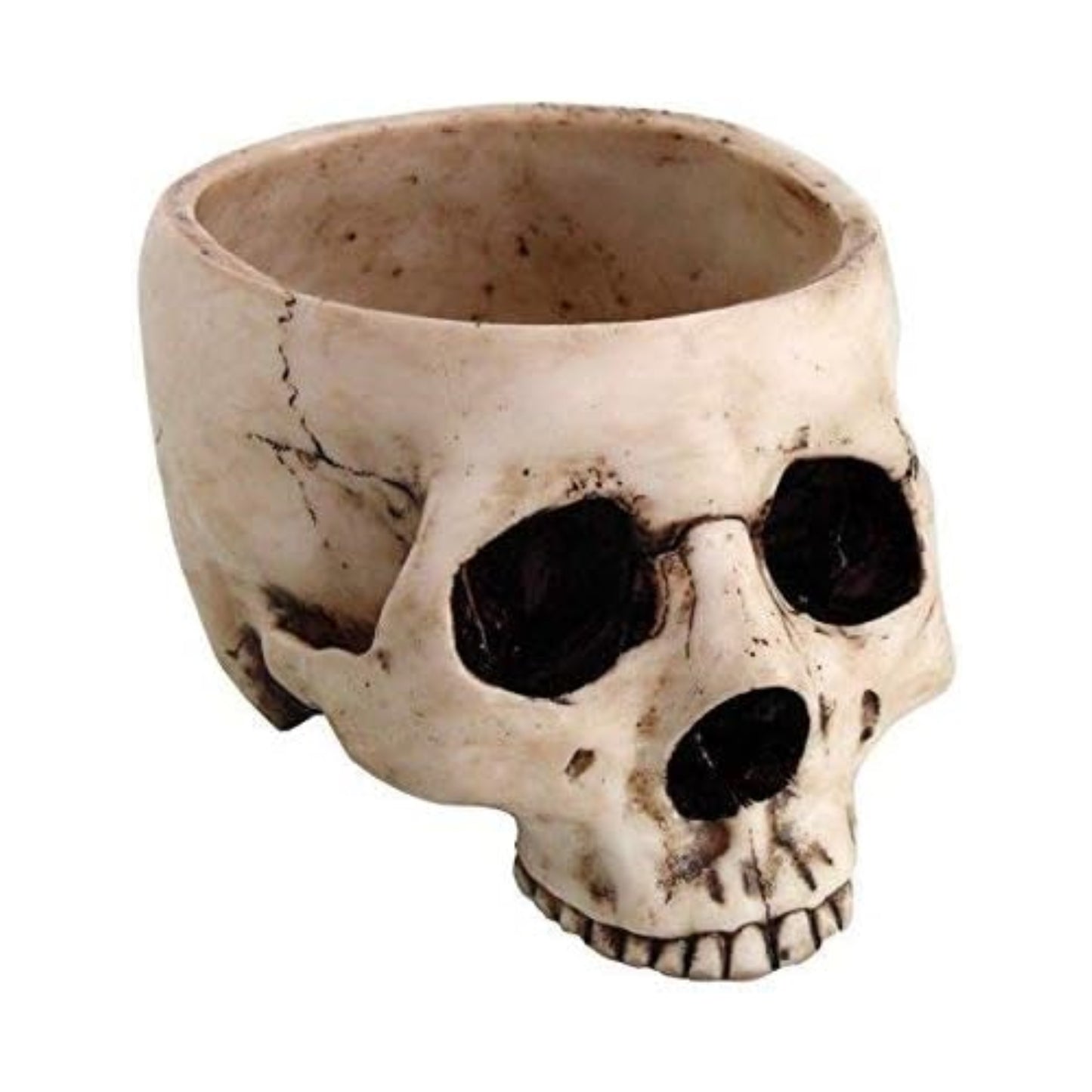 Skeleton Skull Medium Kitchen Bowl Figurine Halloween Decoration